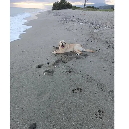 Anna וילה מסינה