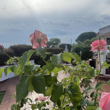 וילה Anna מסינה